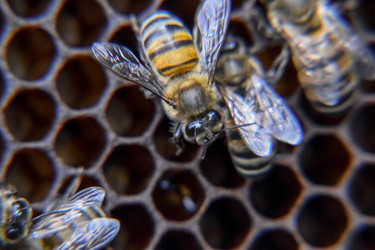 Similar image 17539816