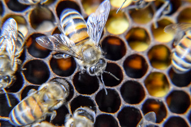 Similar image 17539817