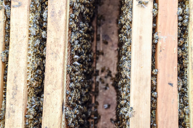 Similar image 17539828