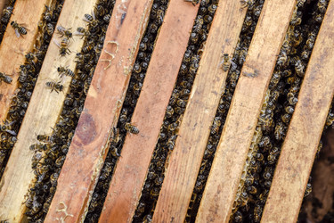 Similar image 17539829