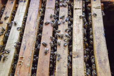 Similar image 17539830