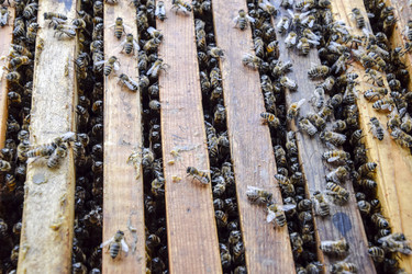 Similar image 17539844