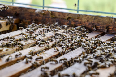 Similar image 17539861