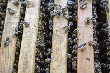 Similar image 17539863