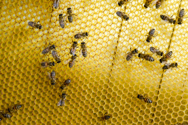 Similar image 17539896