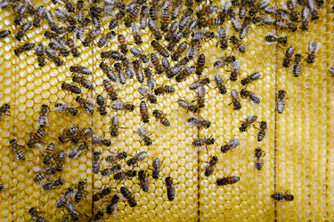 Similar image 17539899