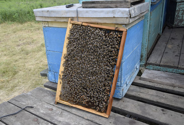 Similar image 17539901