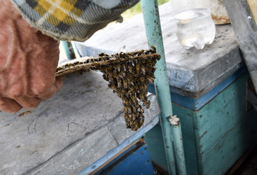 Similar image 17539911