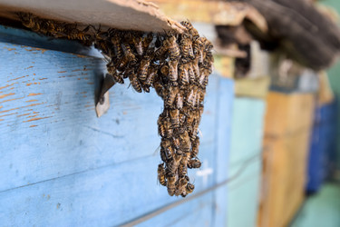 Similar image 17539928