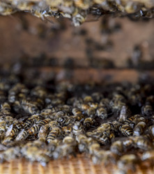 Similar image 17241071