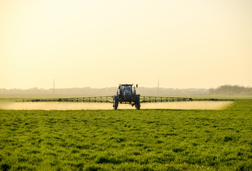 Similar image 17539999