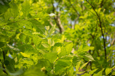 Similar image 16923779