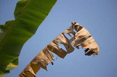 Similar image 16924036