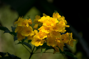 Similar image 16924074