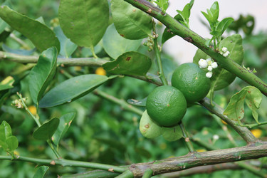 Similar image 16924087