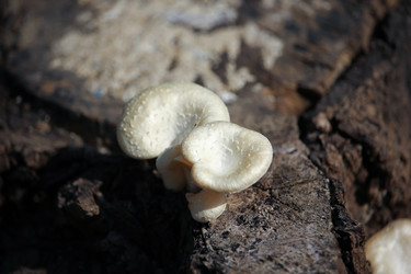 Similar image 16924092