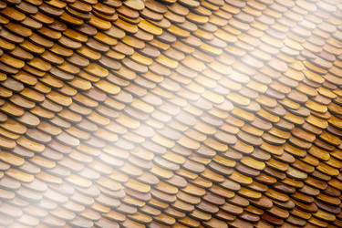 Similar image 16924093