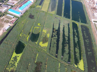 Similar image 17539905