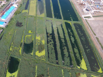 Similar image 17539906