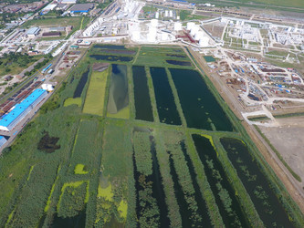 Similar image 17539907