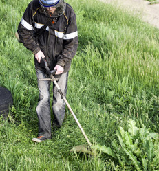 Similar image 17239928