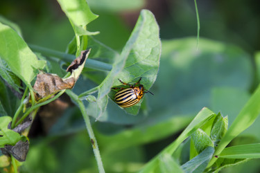 Similar image 17240699