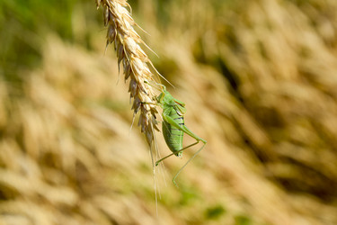 Similar image 17240717