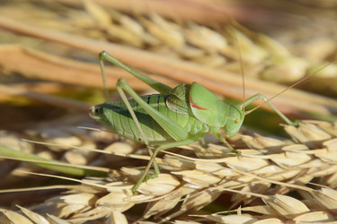 Similar image 17240766