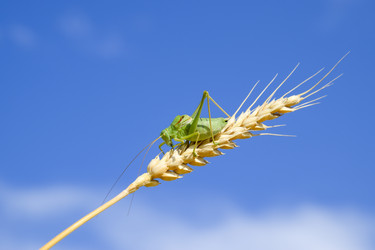 Similar image 17241078