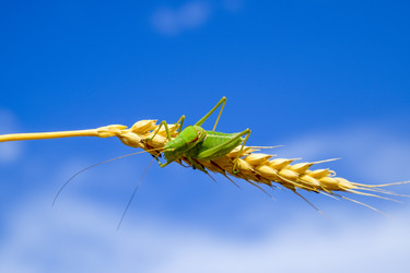 Similar image 17283356