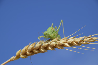 Similar image 17288479