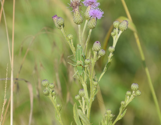 Similar image 17539819