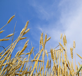 Similar image 17539810