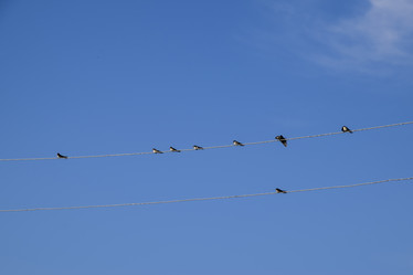 Similar image 16923475