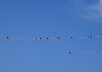 Similar image 17288494