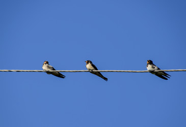 Similar image 17539811