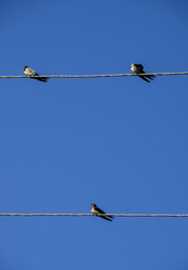 Similar image 17539822