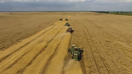 Similar image 17539926