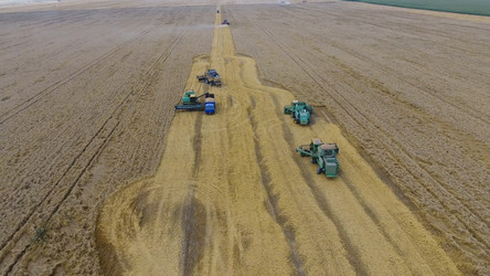 Similar image 17539927