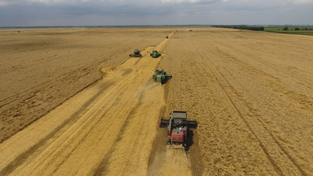 Similar image 17539940