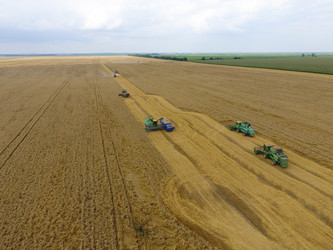 Similar image 17539955