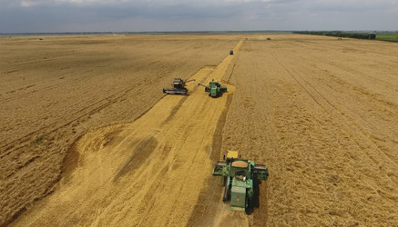 Similar image 17539958