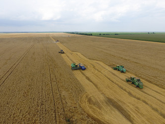 Similar image 17539936