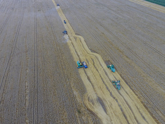 Similar image 17539939