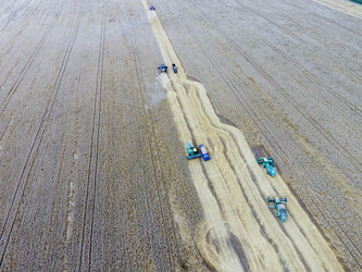 Similar image 17539957