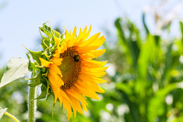 Similar image 16731945