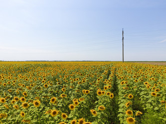 Similar image 16923476