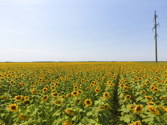 Similar image 16923477