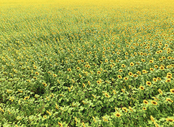 Similar image 17539835