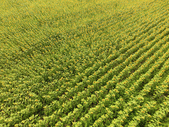 Similar image 17539920